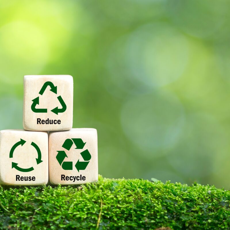 Wooden blocks showing reduce, reuse, recycle symbols on moss with a blurred green background, promoting sustainability practices.